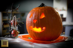 pumpkin_carving_Elem_NK1_NK4_206_of_218_