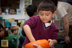 pumpkin_carving_Elem_NK1_NK4_58_of_218_