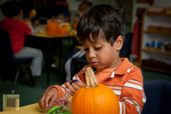 pumpkin_carving_NK2_13_of_58_