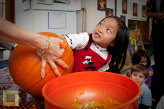 pumpkin_carving_grade_19_of_28_