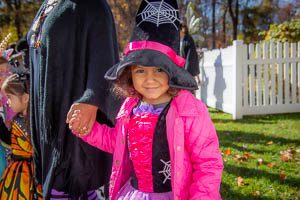 Halloween 23-204