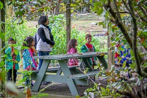 Picnic and Stamford 2019-188