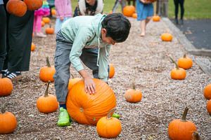 fall festival-100